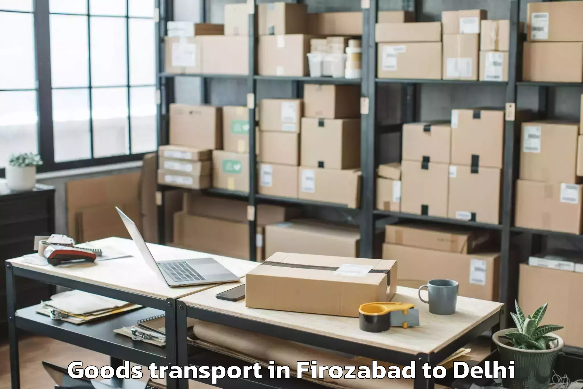 Expert Firozabad to Rohini Goods Transport